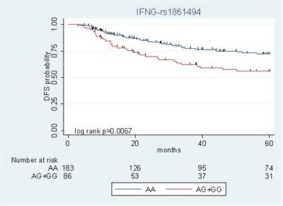 A Clinical-Genetic Score to Identify Surgically Resected Colorectal Cancer Patients Benefiting From an Adjuvant Fluoropyrimidine-Based Therapy